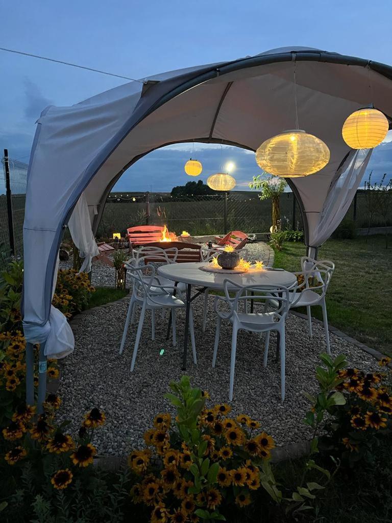 Liwa Garden Krzywa 11 Leilighet Eksteriør bilde