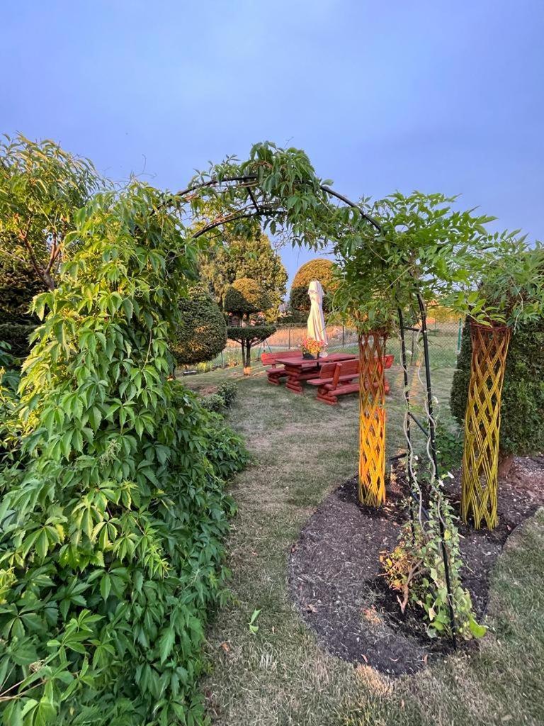 Liwa Garden Krzywa 11 Leilighet Eksteriør bilde