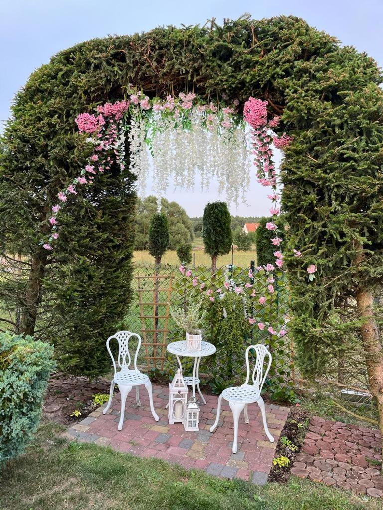 Liwa Garden Krzywa 11 Leilighet Eksteriør bilde
